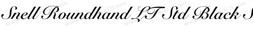 Snell Roundhand LT Std Black Script字体转换